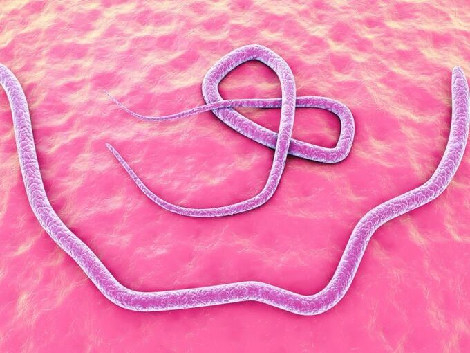 Yurishda yalangoch nd